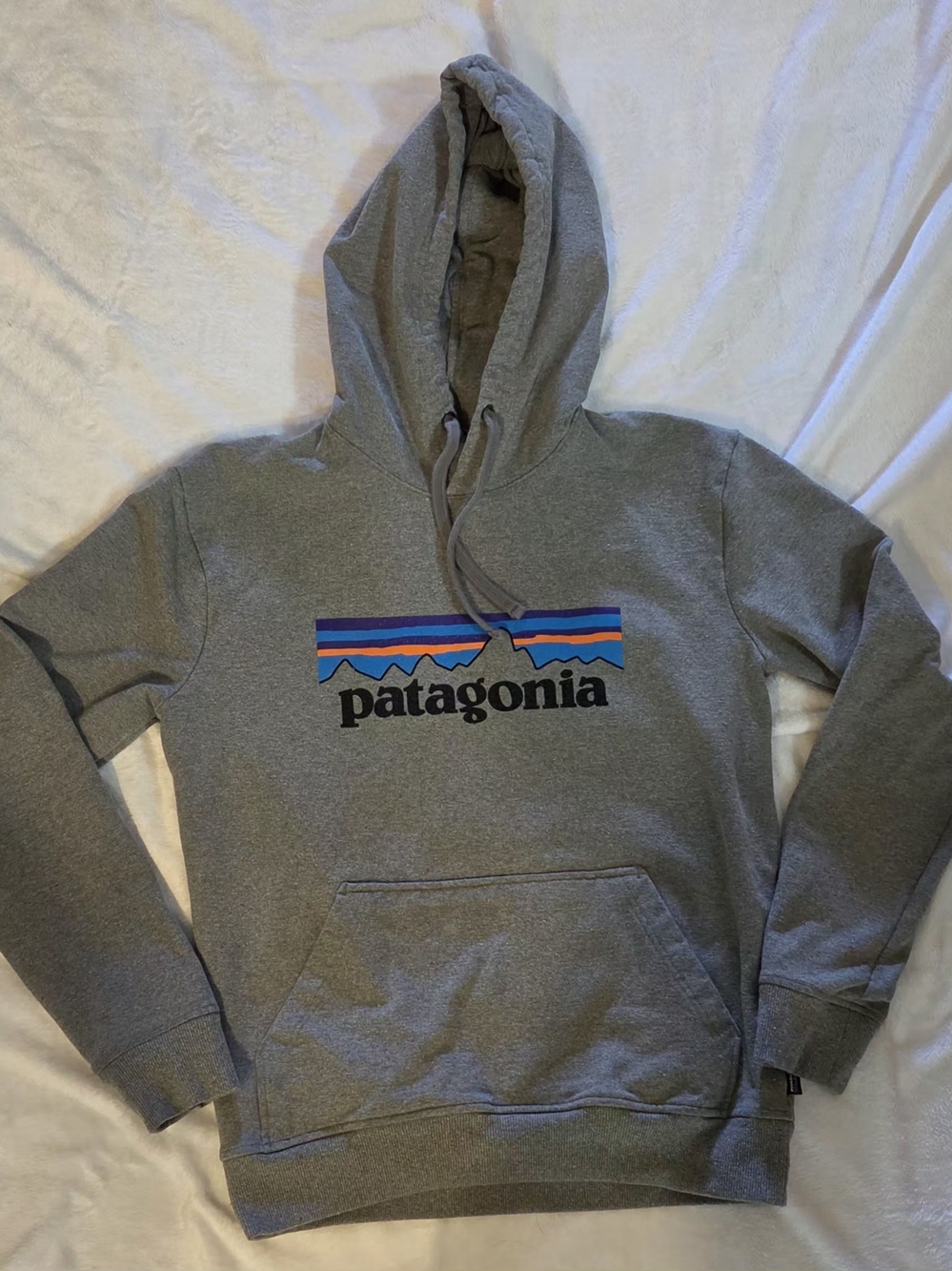 Patagonia Gray Hoodie with Multicolor Mountain Logo